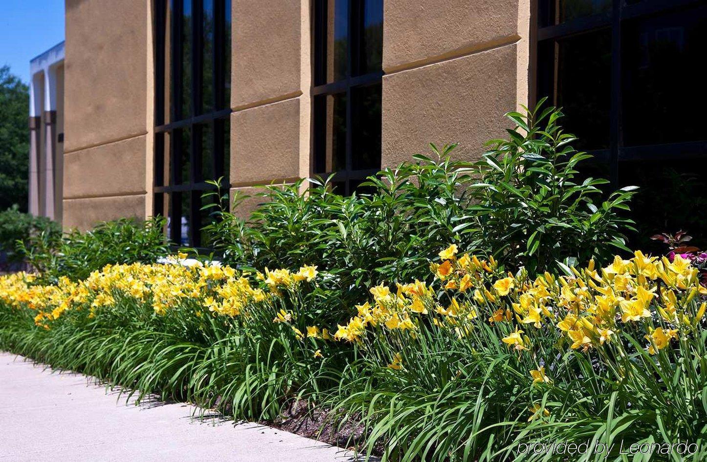 Hampton Inn Alexandria Εξωτερικό φωτογραφία